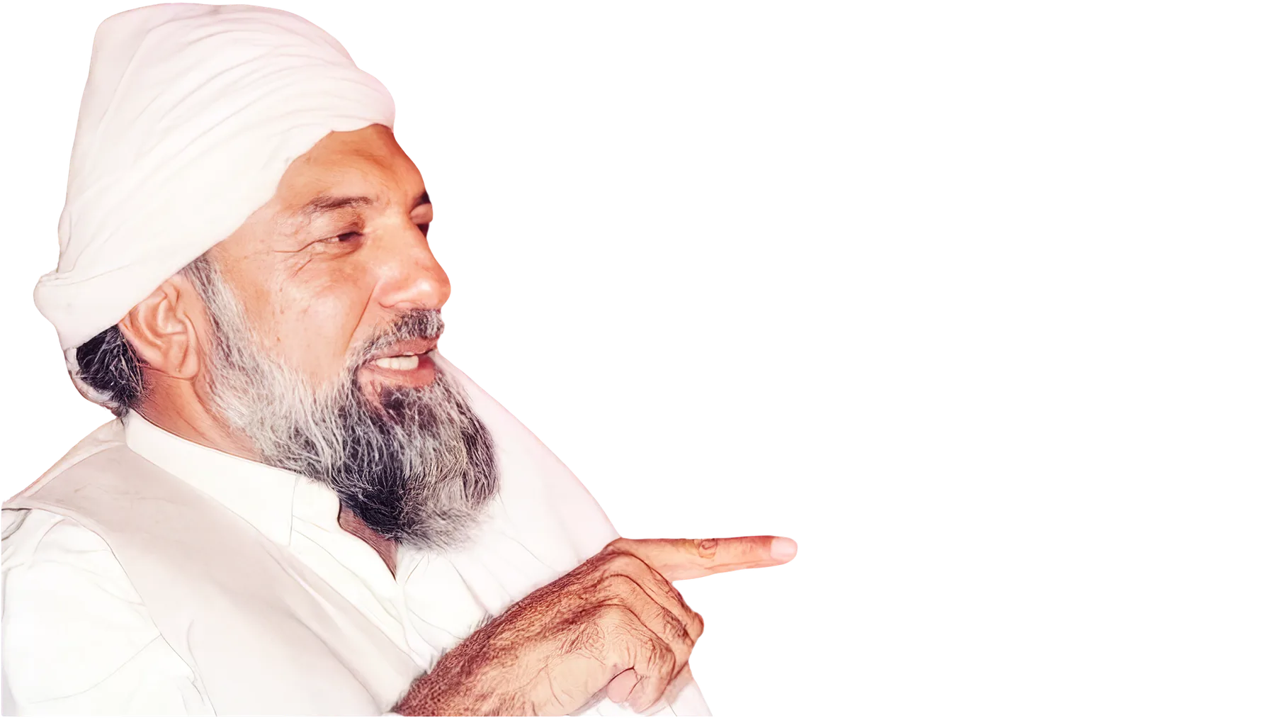 His Divine Eminence Riaz Ahmed Gohar Shahi